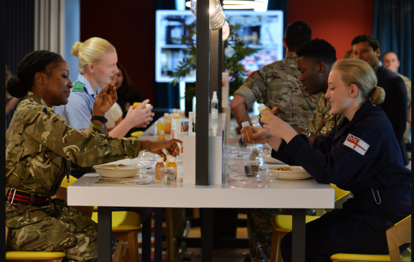 sodexo gold defence employer recognition