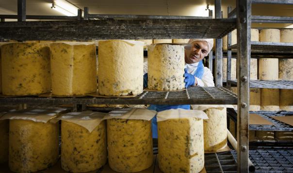 stilton cheese covid-19 sales drop