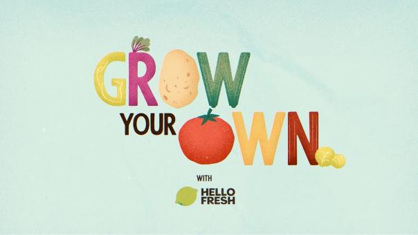 HelloFresh says growing own fruit & veg can lead to 95% less waste 