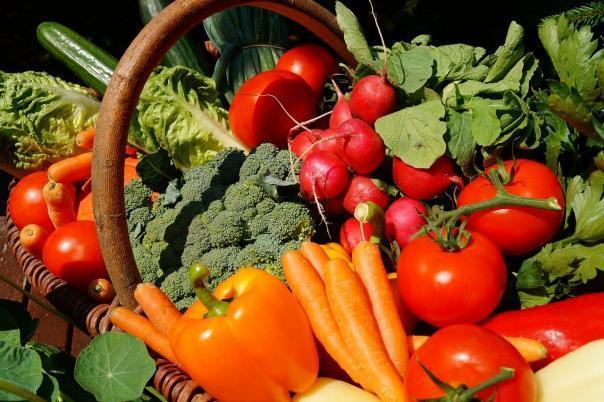 Sustain report calls for greater Government investment in organic food