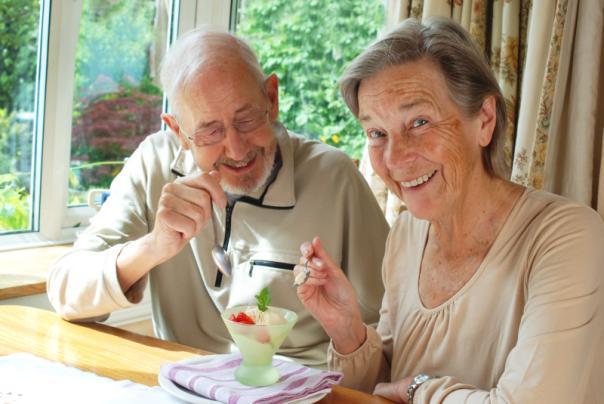 VfL survey finds plant-based diets on rise in UK care homes VfL survey finds plant-based diets on rise in UK care homes
