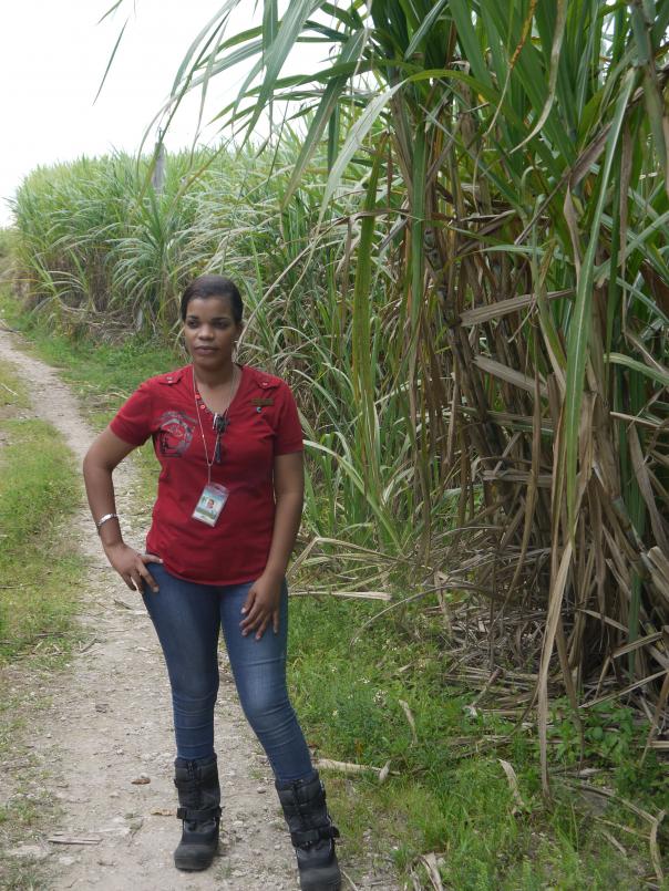 Alexia Ludford, Fairtrade project manager Alexia Ludford, Fairtrade, Sugar Crash report, images
