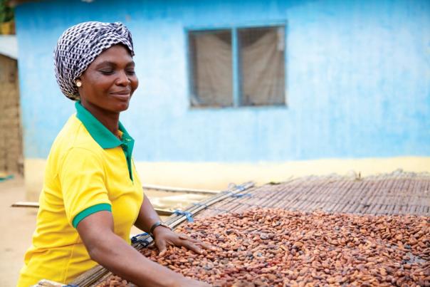 Cocoa farmer, Kuapa Kokoo, Ghana. Image: James Robinson Fairtrade Fortnight, Wicked Coffee, Matthew Algie, Compass, images