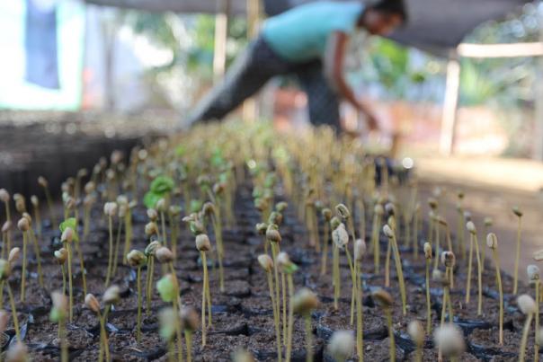 Sodexo hosts Fairtrade coffee farmer