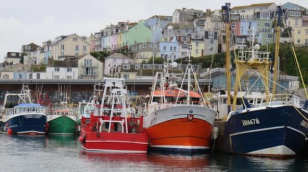 Report shows UK seafood imports & exports on rise