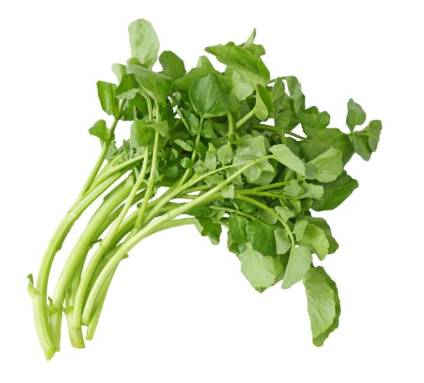 The Watercress Company takes lead on creating sustainable hospital menus The Watercress Company takes lead on creating sustainable hospital menus