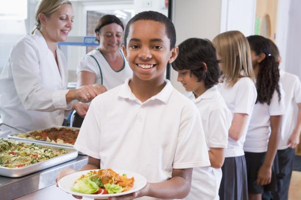 Youth Select Committee calls for healthier school meals 