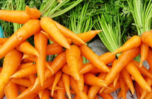 carrots Fun Friday Food Facts, Vol. 34