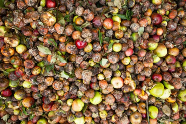 New data reveals most food waste conscious region of UK New data reveals most food waste conscious region of UK
