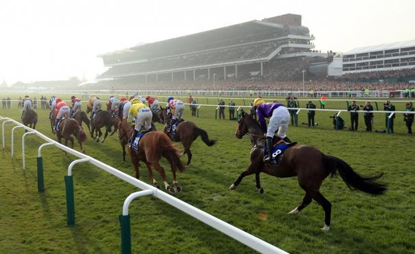 Gold cup runners at Cheltenham Festival last year