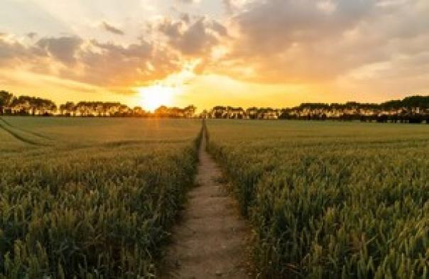 British farming British farming