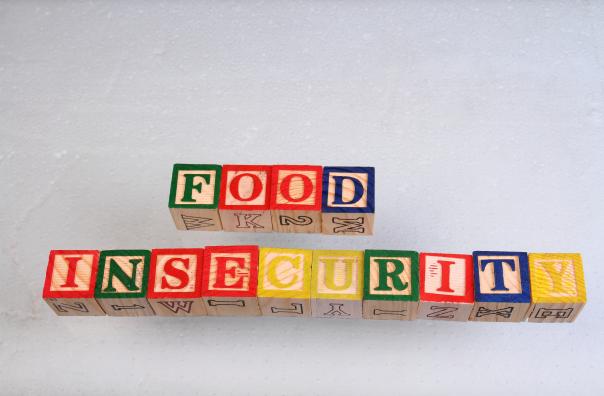 food insecurity families