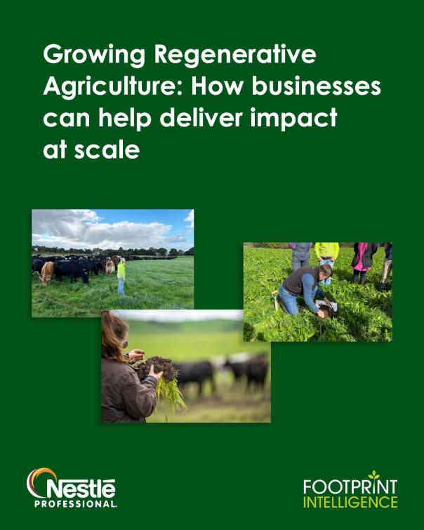 Nestlé Professional calls for collective action to scale regenerative agriculture