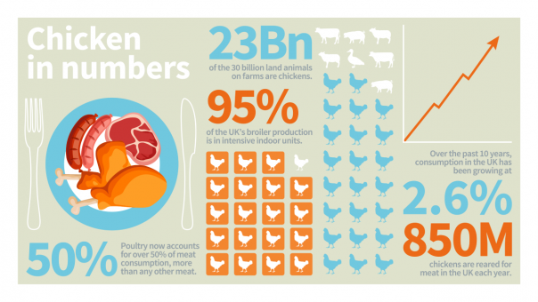 We Need To Talk About Chickens diagram 