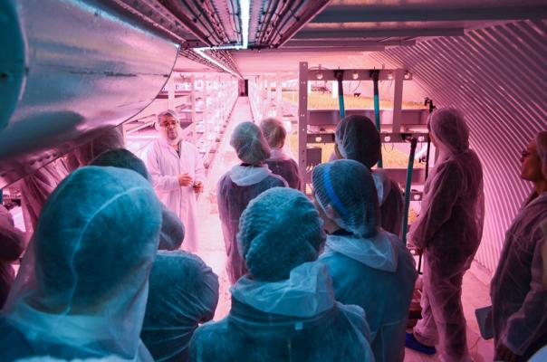 Vacherin visits underground hydroponic herb farm