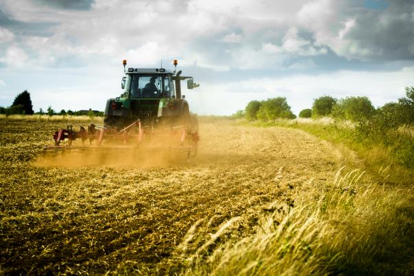 government, food, production
