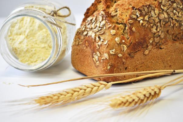 Tritordeum, a sustainable ingredient that is making headway in Europe 