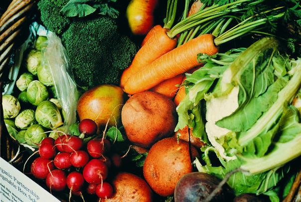 Environmental committee calls on ministers to protect fresh food imports 